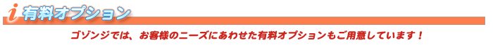 オプションサービス